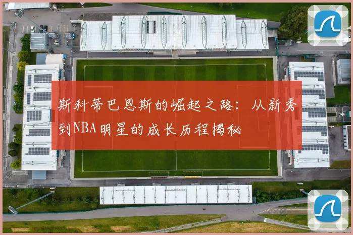 斯科蒂巴恩斯的崛起之路：从新秀到NBA明星的成长历程揭秘