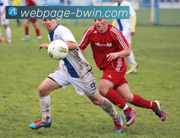 bwin必赢品牌故事