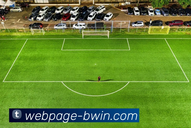 bwin必赢服务体系