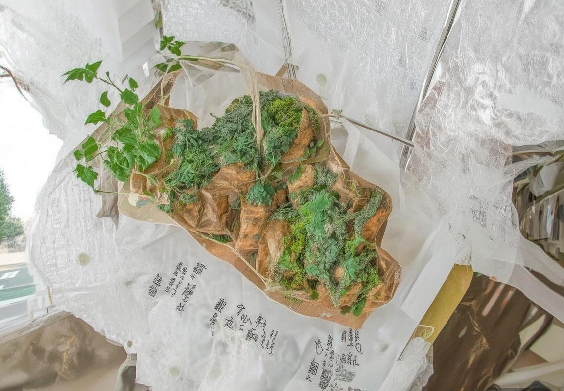 1999年NBA总决赛：马刺逆袭公牛，罗宾逊与邓肯巅峰对决(图3)